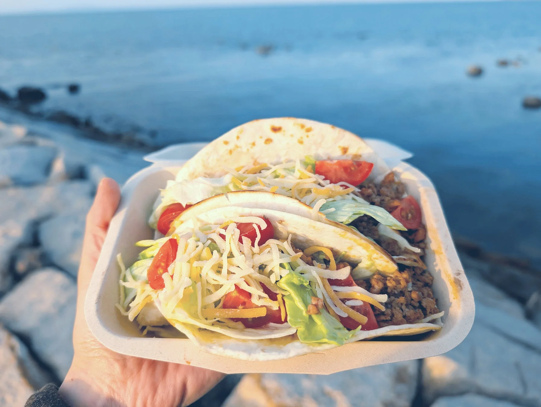 タコス、海