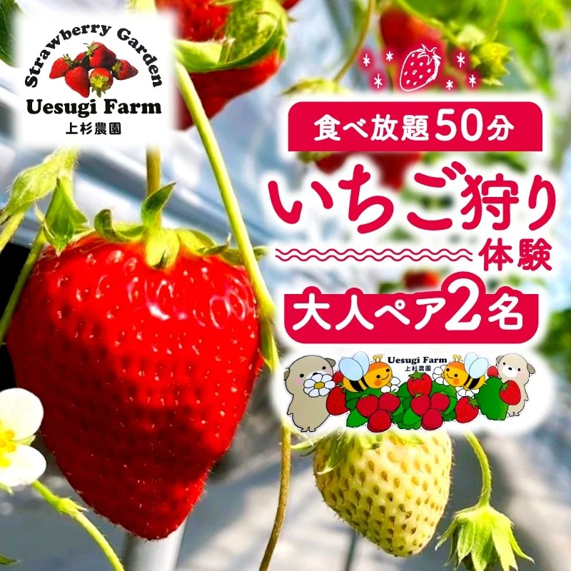 上杉農園のいちご狩り