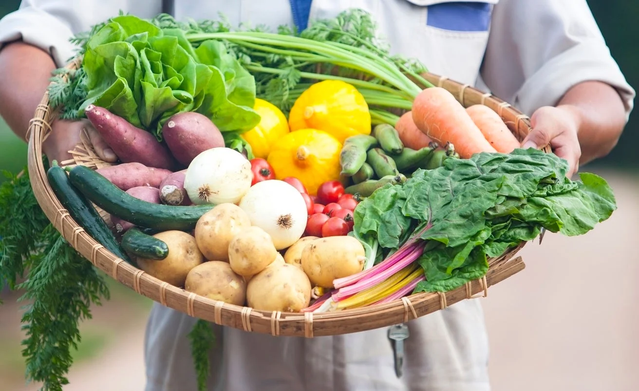 収穫された新鮮な野菜