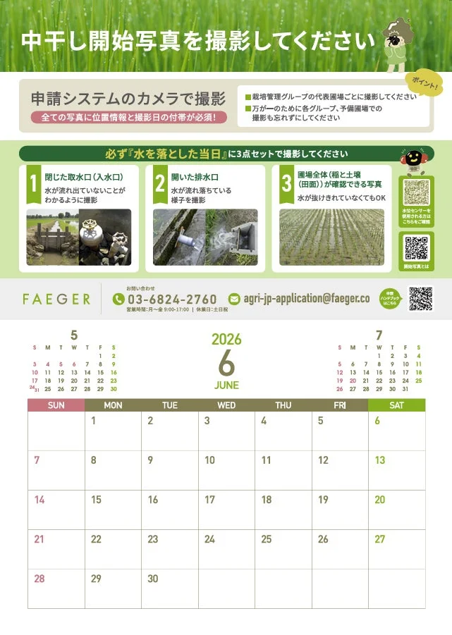 稲作における中干し開始時の写真撮影方法と注意事項