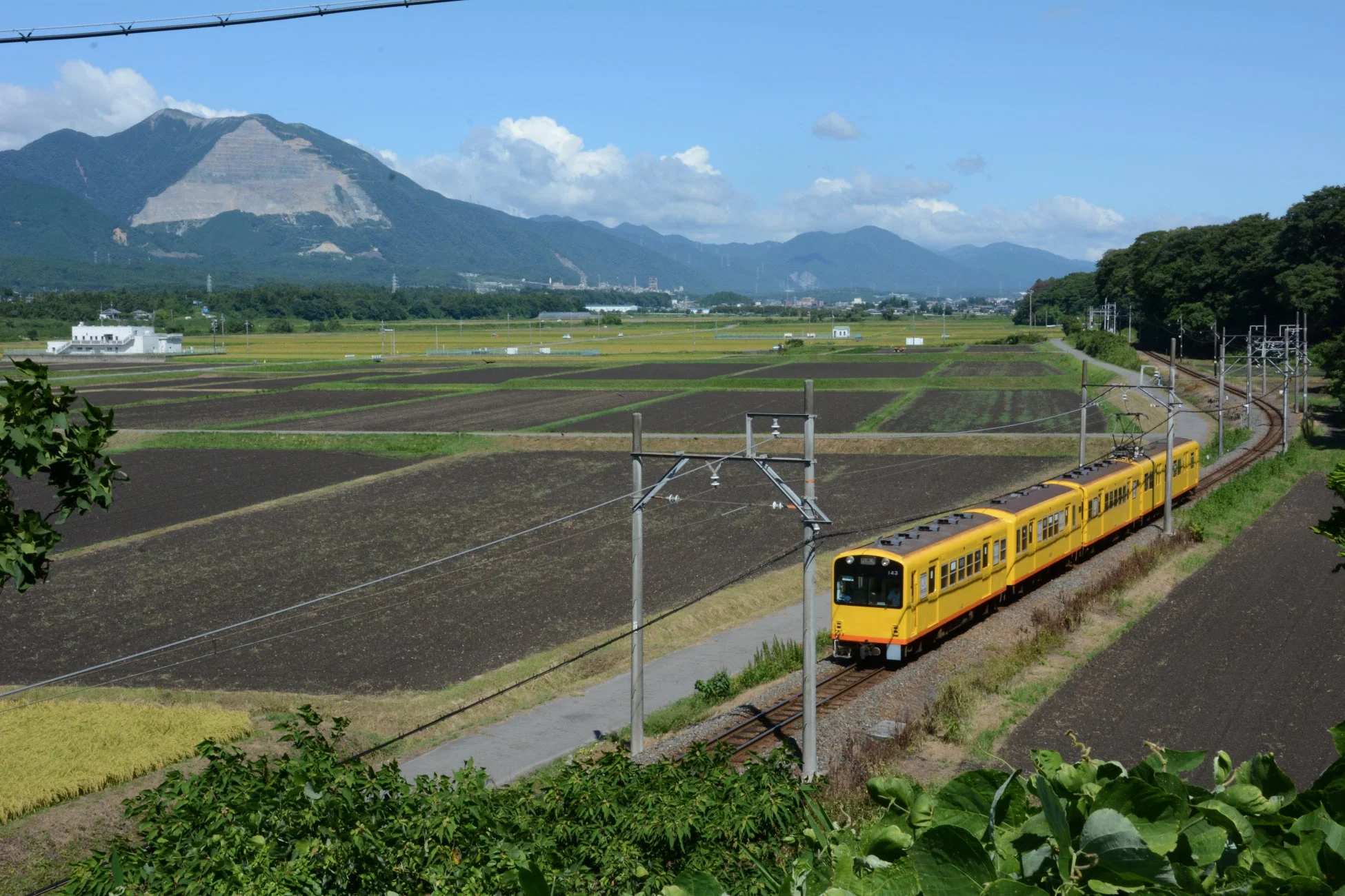 電車,田園風景,山,水田,夏,日本の風景,鉄道,青空,黄色い電車,のどか
