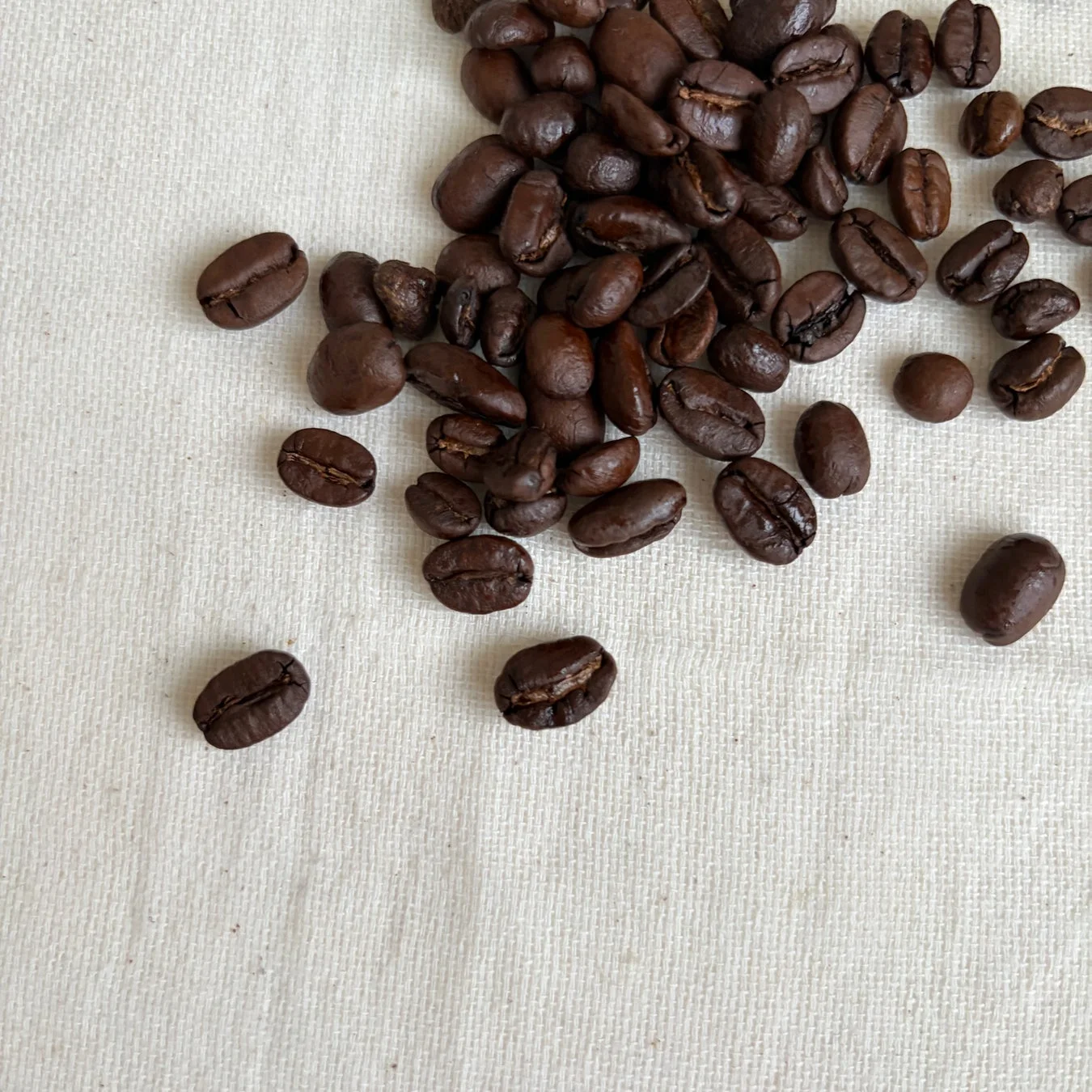 焙煎されたコーヒー豆